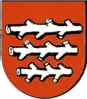 Герб Stadtgemeinde Knittelfeld