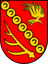 Герб Gemeinde Wenigzell