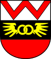 Герб Stadtgemeinde Wörgl