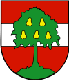 Герб Stadtgemeinde Dornbirn